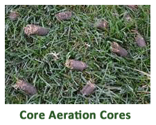 Core Aeration Cores